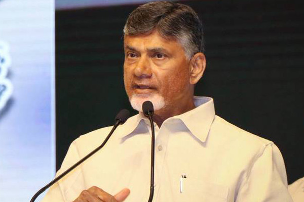 chandrababu releases manifesto for 2019 general election