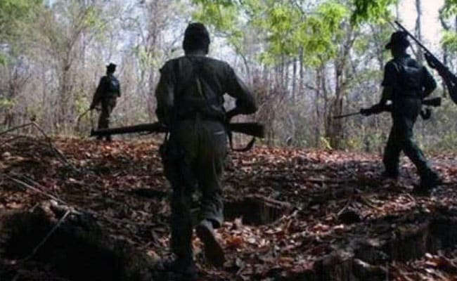 3 guns looted from forest office