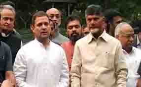 RAHUL MEETS NAIDU