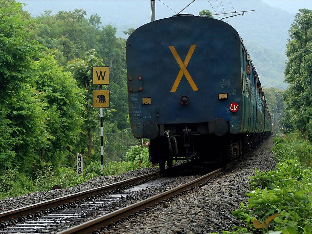 Four passengers run over by Rajdhani express train near Etawah