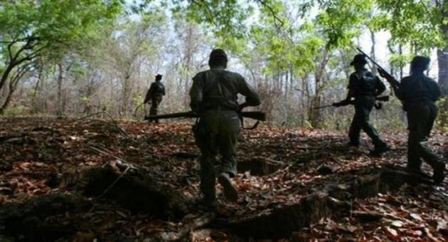 2 naxal died