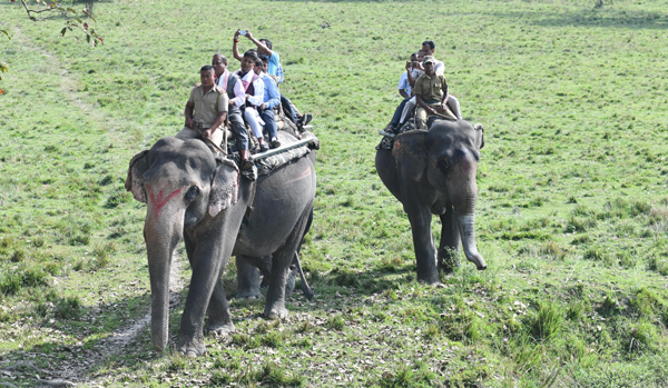 KAZIRANGA, NOV 6 (UNI):- Assam Forest Minister Parimal Suklabaidy on an elephant safari at Pabitora wild life century on Wednesday. UNI PHOTO-43U