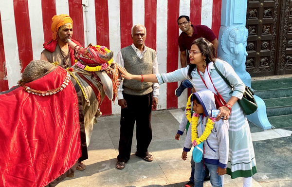 NEW DELHI, NOV 20 (UNI):- A woman devotee seeking the blessings of a religious Bull at Vinayak temple, in Delhi on Wednesday.UNI PHOTO BY SESHADRI SUKUMAR-20U