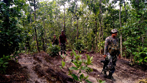 PAKUR, NOV 25 (UNI):- Jharkhand Armed Police jawans in search operation against naxals after an emergency alert by the Superintendent of Police Pakur district Rajiv Ranjan Singh for Assembly election inside the dense forest of Amrapara area of Pakur, on Monday.UNI PHOTO-44U