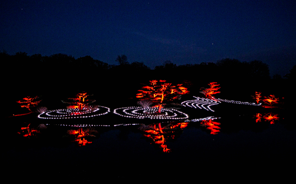 People enjoy a tunnel of light at the Lightscape exhibit at Chicago Botanic Garden