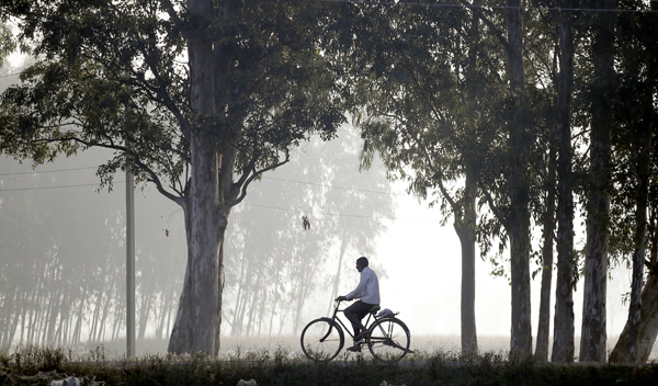 JAMMU, NOV 19 (Xinhua) -- A man rides a bicycle amid dense fog on the outskirts of Jammu, the winter capital of Indian-controlled Kashmir, on Nov. 18, 2019. Xinhua/ UNI PHOTO-8F