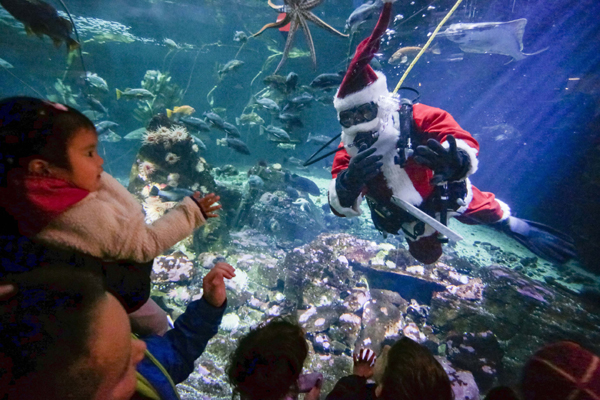 VANCOUVER, Nov. 25, 2019 (Xinhua) -- A diver dressed as Santa Claus interacts with children from a fish tank at Vancouver Aquarium in Vancouver, Canada, Nov. 24, 2019. A performer dressed as Santa Claus dived in the giant fish tank to send holiday greetings to the crowds at the event of Scuba Claus Dive in Vancouver Aquarium. Xinhua/UNI PHOTO-13F