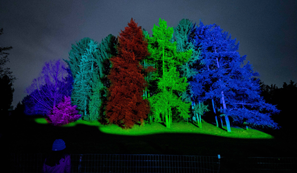 CHICAGO, Dec. 27, 2019 (Xinhua) -- Trees are illuminated at Illumination: Tree Lights at The Morton Arboretum in Lisle, Illinois, the United States, on Dec. 26, 2019. (Photo by Joel Lerner/Xinhua/IANS)