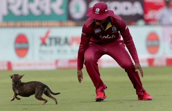 Chennai: Play was temporarily halted when a playful canine ran out to the middle during the 1st ODI match between India and West Indies at MA Chidambaram Stadium in Chennai on Dec 15, 2019. (Photo: Surjeet Yadav/IANS)