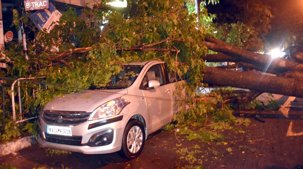 Bengaluru: Trees uprooted due to heavy rainfall during the fourth phase of the nationwide lockdown imposed to mitigate the spread of coronavirus, in Bengaluru on May 29, 2020. (Photo: IANS)