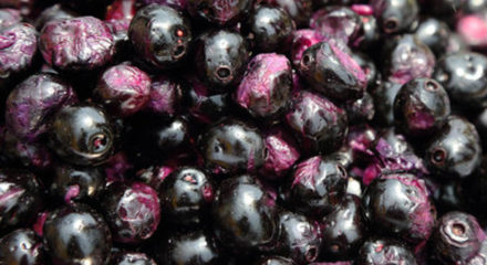 jamun