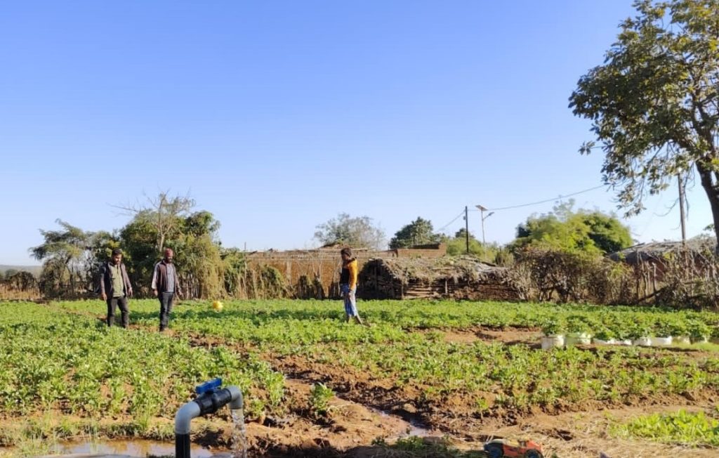 ଗତ ବର୍ଷ ରାଜ୍ୟରେ ହୋଇଛି ୧୪ ,୦୭୪ ଟି ଉଠା ଜଳସେଚନ ପ୍ରକଳ୍ପ Lift Irrigation