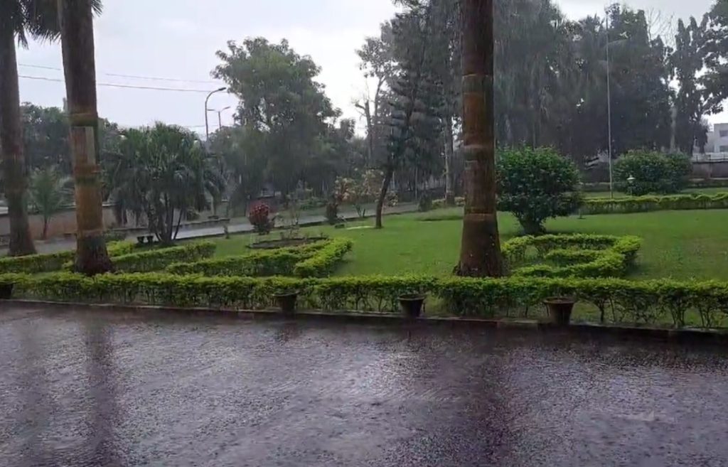 Rain
