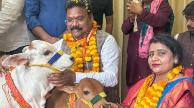 cowpuja