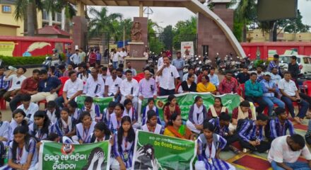 BJDStudents