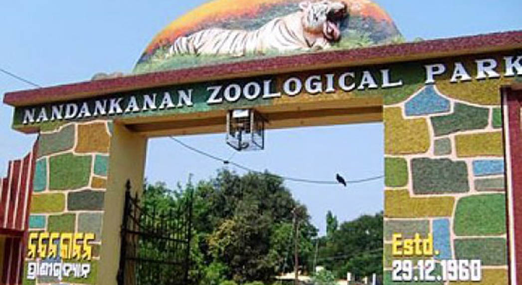 nandankanana