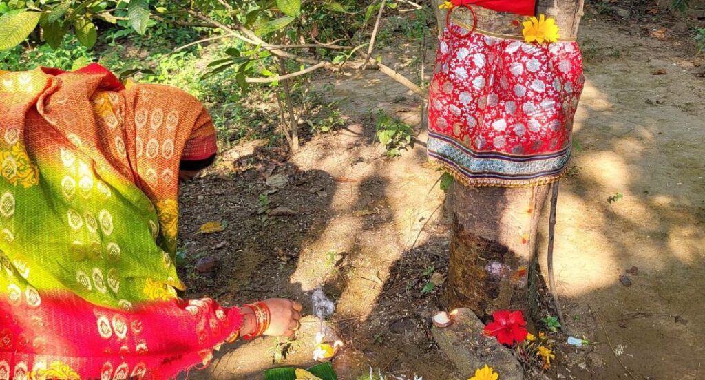 ଆଜି ହେଉଛି ଅଁଳା ନବମୀ, କାହିଁକି ପାଳନ ହୁଏ ଏହି ପର୍ବ ଆଜି ହେଉଛି ଅଁଳା ନବମୀ