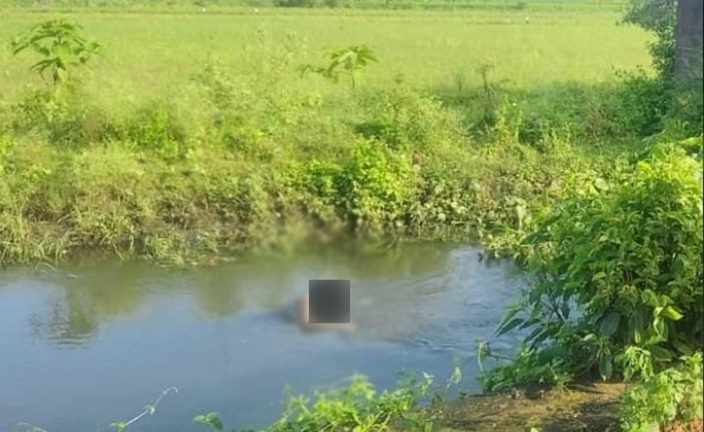 ମାୟାପୁରୀ ବଡ ନାଳରୁ ବୃଦ୍ଧଙ୍କ ମୃତଦେହ ଉଦ୍ଧାର ମାୟାପୁରୀ ବଡ ନାଳରୁ ବୃଦ୍ଧଙ୍କ ମୃତଦେହ ଉଦ୍ଧାର