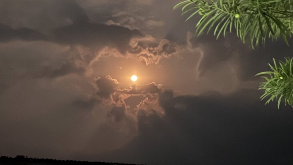 ଚଳିତ ବର୍ଷ କୁମାର ପୂର୍ଣ୍ଣିମା