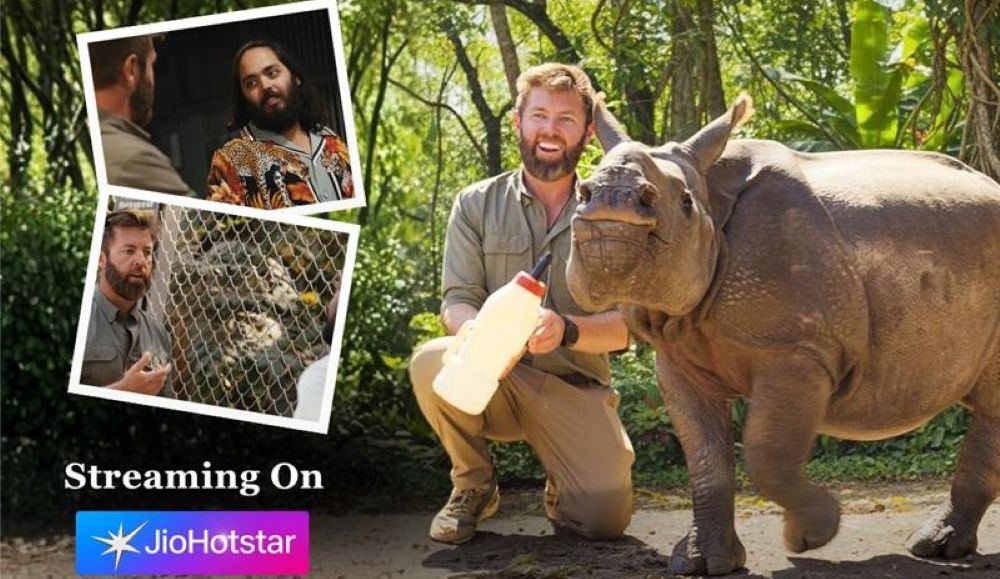 JioHotstar: ଜିଓହଟଷ୍ଟାରରେ ବନତାରାର କାହାଣୀ, ଟ୍ରେଣ୍ଡିଂ କରୁଛି ଏହି ଧାରାବାହିକ JioHotstar: