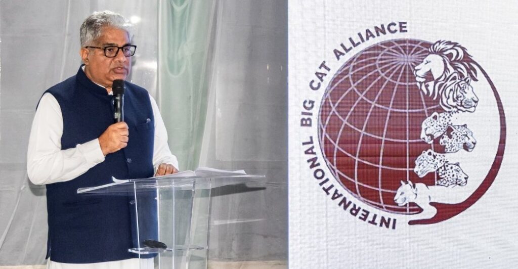 Global Big Cats Summit