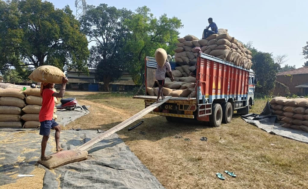 ଚଳିତ ଖରିଫ ଋତୁରେ ଧାନ ସଂଗ୍ରହ ପ୍ରକ୍ରିୟା ଜାରି Paddy