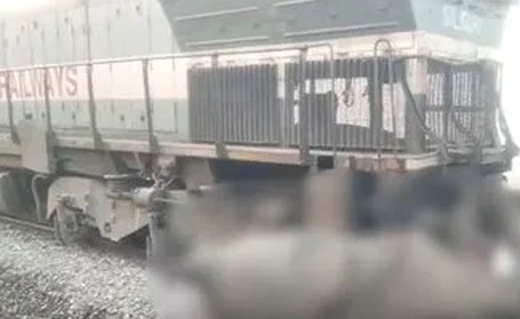 ହାତୀ ସହିତ ଧକ୍କା ହେଲା ରାଜଧାନୀ ଏକ୍ସପ୍ରେସ ଟ୍ରେନ: ଇଞ୍ଜିନ ସମେତ ଟି କୋଚ୍ ଲାଇନଚ୍ୟୁତ , ୮ଟି ହାତୀ ମୃତ ରାଜଧାନୀ ଏକ୍ସପ୍ରେସ ଟ୍ରେନ