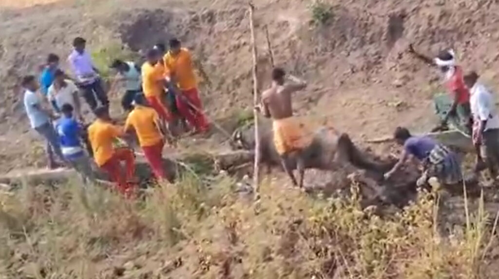 କେନାଲ ଭିତରେ ଫସିଗଲା ମଇଁଷି, ଅଗ୍ନିଶମ କର୍ମଚାରୀ କଲେ ଉଦ୍ଧାର, ଦେଖନ୍ତୁ ଭିଡିଓ କେନାଲ ଭିତରେ ଫସିଗଲା ମଇଁଷି