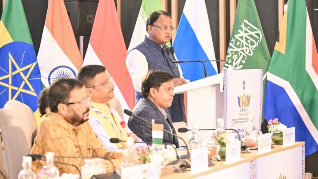 BRICS DRRG Meeting