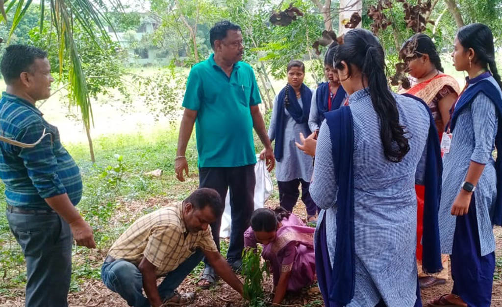 ବାଲୁଗାଁ ମହାବିଦ୍ୟାଳୟ ପରିସରରେ ସ୍ୱଚ୍ଛତା ଅଭିଯାନ ଓ ବୃକ୍ଷରୋପଣ କାର୍ଯ୍ୟକ୍ରମ ବାଲୁଗାଁ ମହାବିଦ୍ୟାଳୟ ପରିସରରେ ସ୍ୱଚ୍ଛତା ଅଭିଯାନ ଓ ବୃକ୍ଷରୋପଣ କାର୍ଯ୍ୟକ୍ରମ