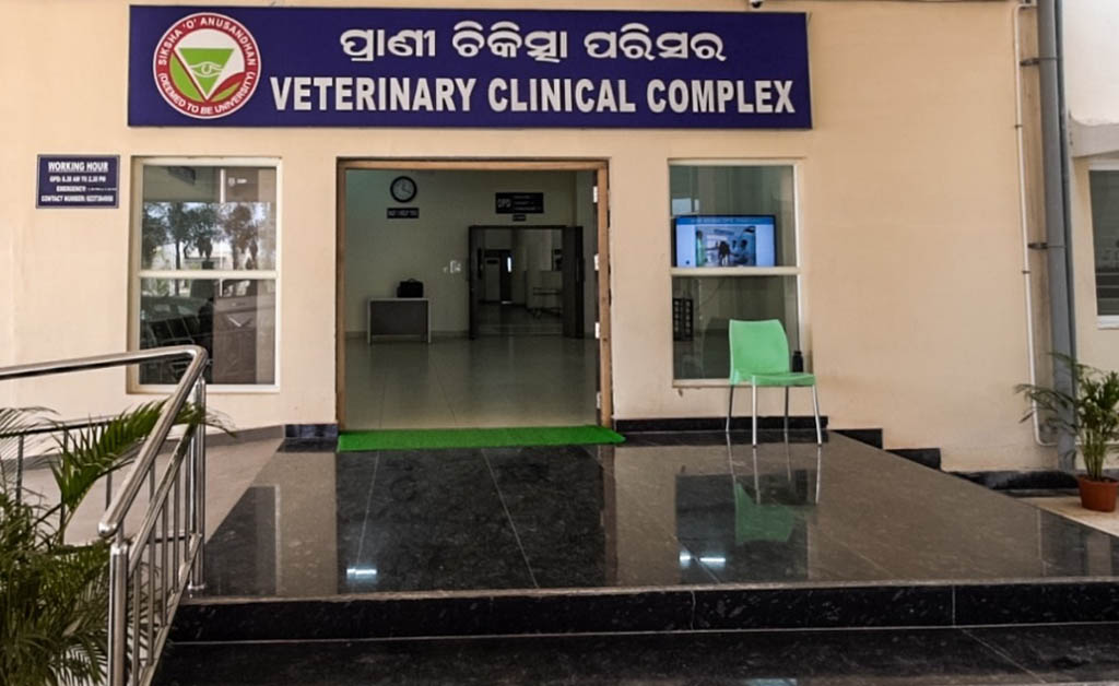 ରାସ୍ତା ଦୁର୍ଘଟଣାର ଶିକାର ହୋଇ ଗୁରୁତର ବାଛୁରୀର ଜୀବନ ରକ୍ଷା କଲା ସୋଆ ପଶୁ ଚିକିତ୍ସାଳୟ ସୋଆ ପଶୁ ଚିକିତ୍ସାଳୟ