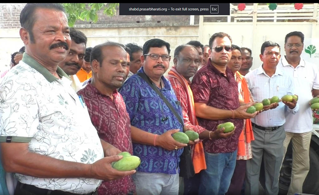 ବଲାଙ୍ଗିରରୁ ପ୍ରଥମ ଥର ପାଇଁ ଜର୍ମାନୀ ଓ ଇଟାଲୀକୁ ରପ୍ତାନି ହେଲା ଆମ୍ବ KV Singh Deo launches mango export initiative