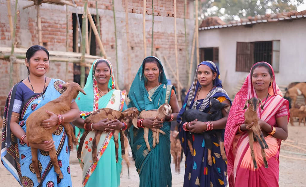 ଓଡ଼ିଶା ବନାଞ୍ଚଳ ଉନ୍ନୟନ ପ୍ରକଳ୍ପ ଅଧୀନରେ ସ୍ଥାୟୀ ଜୀବିକା ବିକାଶକୁ ପ୍ରୋତ୍ସାହନ ଓଡ଼ିଶା ବନାଞ୍ଚଳ ଉନ୍ନୟନ ପ୍ରକଳ୍ପ ଅଧୀନରେ ସ୍ଥାୟୀ ଜୀବିକା ବିକାଶକୁ ପ୍ରୋତ୍ସାହନ