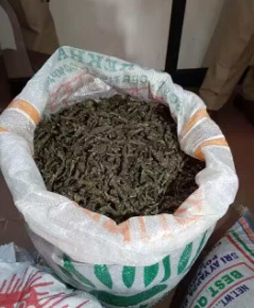 ଭଡ଼ା ଘରୁ ୧ କୁଇଣ୍ଟାଲ୍ ଗଞ୍ଜେଇ ଜବତ, ୨ ଅଭିଯୁକ୍ତ ଗିରଫ