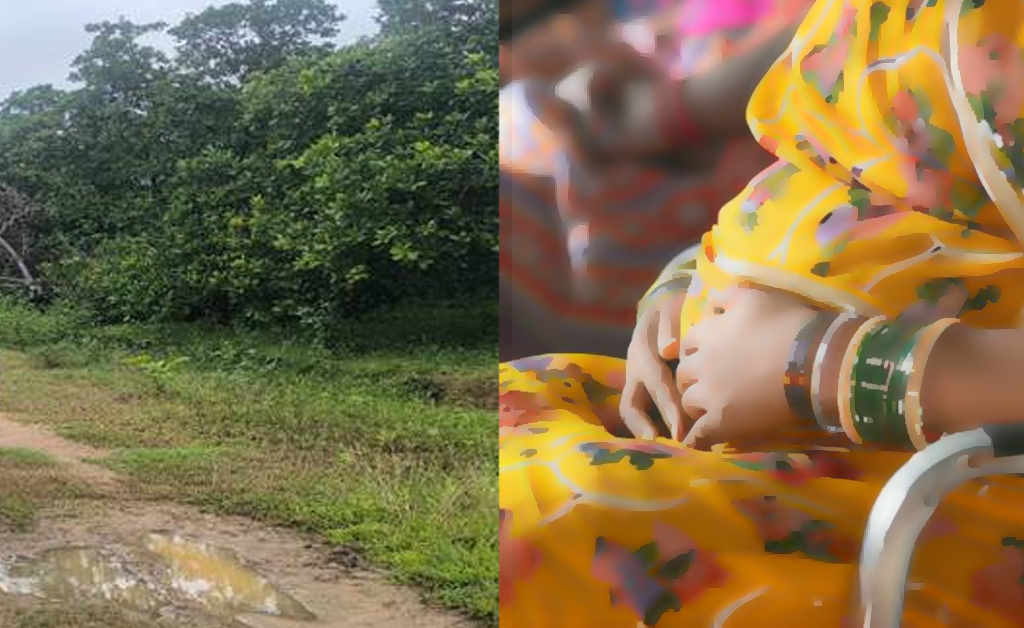 ବିକାଶର ବାସ୍ତବ ଚିତ୍ର: ଗର୍ଭବତୀଙ୍କ ପାଇଁ ଆମ୍ବୁଲାନ୍ସ ନୁହେଁ, ଭରସା ଖଟିଆ
