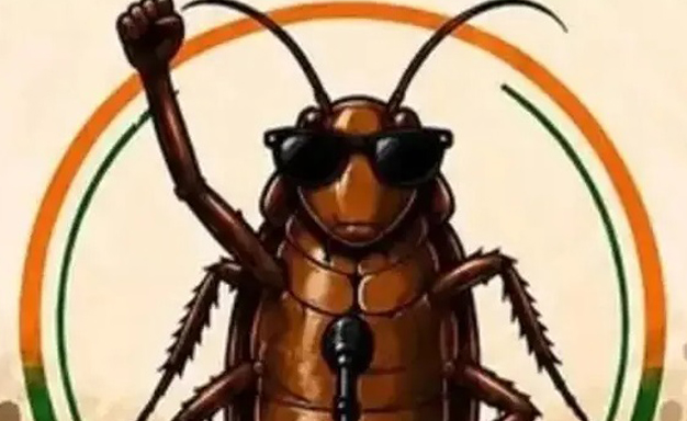 ପୁଣି ଜନ୍ତରମନ୍ତରଠାରେ ଆନ୍ଦୋଳନ କରିବ ସିଜେପି 'Cockroach' arrives; Jantar Mantar set to tremble again.