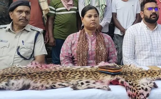 ୨ କଲରାପତରିଆ ଛାଲ ଜବତ, ୬ ଗିରଫ Leopard skins seized; 6 arrested.