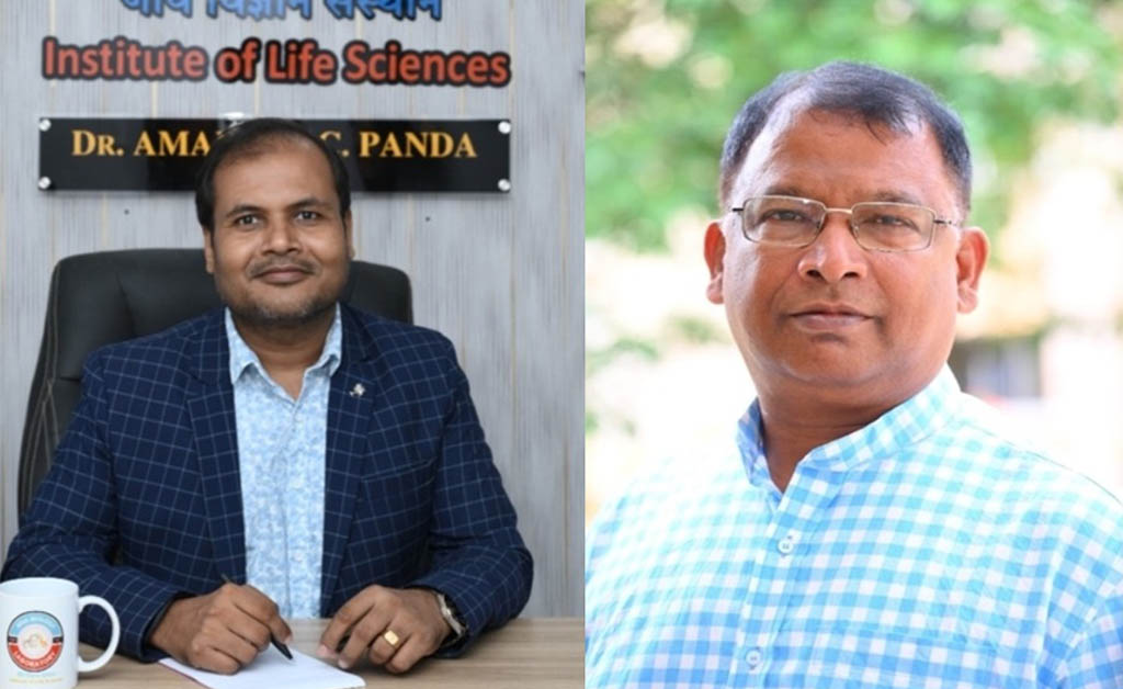 ବିଶ୍ୱର ଶ୍ରେଷ୍ଠ ୨ ପ୍ରତିଶତ ବୈଜ୍ଞାନିକ ତାଲିକାରେ ଭୁବନେଶ୍ୱର ଜୀବ ବିଜ୍ଞାନ ସଂସ୍ଥାନର ବୈଜ୍ଞାନିକ ବିଶ୍ୱର ଶ୍ରେଷ୍ଠ ୨ ପ୍ରତିଶତ ବୈଜ୍ଞାନିକ ତାଲିକାରେ ଭୁବନେଶ୍ୱର ଜୀବ ବିଜ୍ଞାନ ସଂସ୍ଥାନର ବୈଜ୍ଞାନିକ