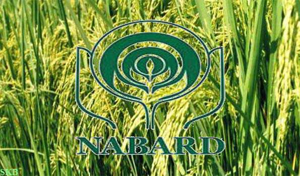  Agriculture term loans identified by NABARD at amount of Rs 701.63 crore for Tripura