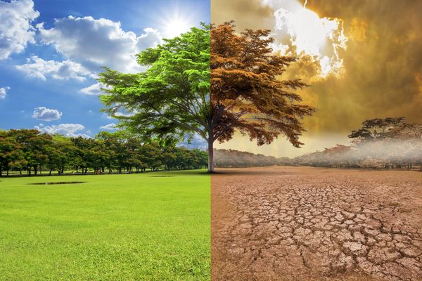 Global warming taking toll on crop productivity & labour efficiency: IIT D study