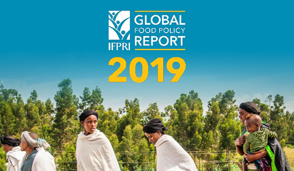 Rural revitalisation key to eco growth, says 2019 Global Food Policy Report; 821 mn malnourished worldwide