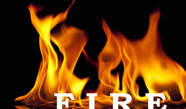 Major fire breaks out in timber factory in Jammu