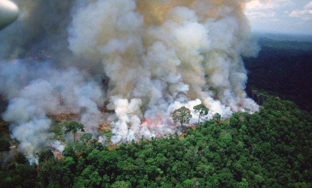 Amazon wildfire: Brazil may turn down G7 assistance