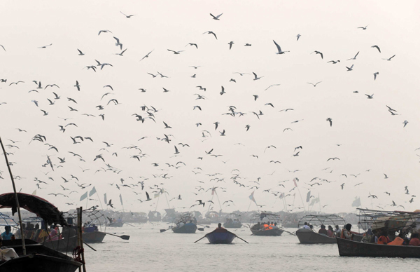 PRAYAGRAJ, NOV 4 (UNI):- Migratory birds flying over Ganga river during a smoggy morning in Prayagraj on Monday. UNI PHOTO-11U