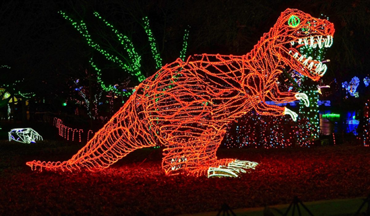 (191222) -- ALBUQUERQUE (U.S.), Dec. 22, 2019 (Xinhua) -- Photo taken on Dec. 21, 2019 shows an illuminated dinosaur during River of Lights at ABQ BioPark Botanic Garden in Albuquerque, New Mexico, the United States. The annual walk-through light show River of Lights, with millions of twinkling lights and nearly 600 dazzling holiday displays, stages here during the month of December. (Photo by Richard Lakin/Xinhua)