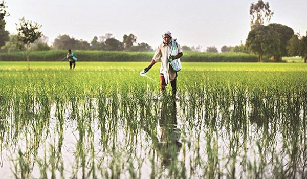 Odisha cabinet approves new agriculture policy