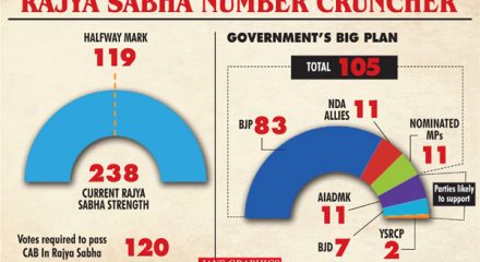 Rajya Sabha Number Cruncher. (IANS Infographics)