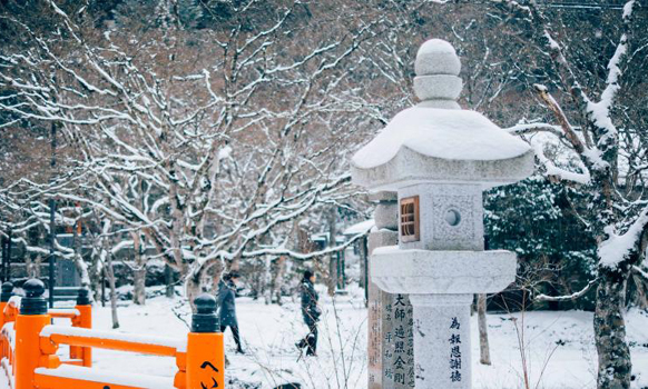 Your guide to Japan in December