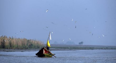 Khurda and Ganjam: A flock of migratory birds fly over the Chilika Lake in Khurda and Ganjam districts of Odisha on Jan 6, 2020. (Photo: IANS)