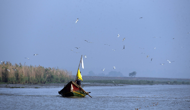 Khurda and Ganjam: A flock of migratory birds fly over the Chilika Lake in Khurda and Ganjam districts of Odisha on Jan 6, 2020. (Photo: IANS)